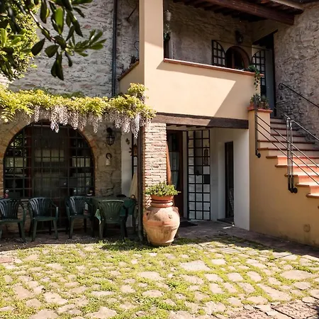Social Garden Calci