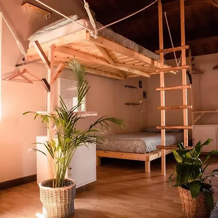 Social Garden Dom wakacyjny *