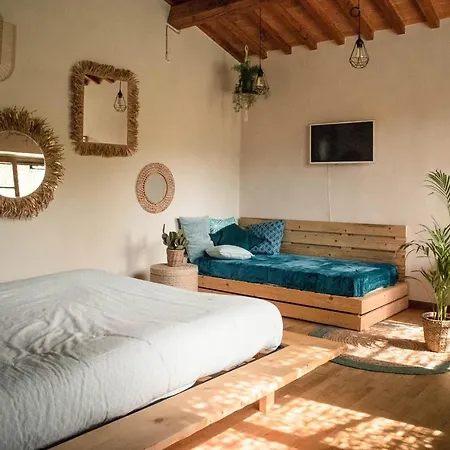 Social Garden Holiday home Calci